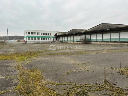 Advenis RES - Immobilier d'entreprises