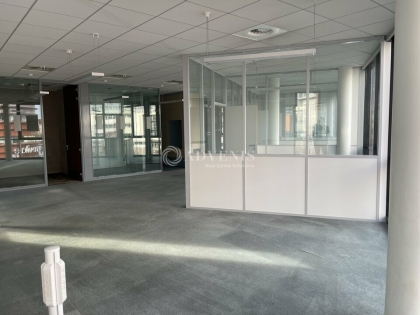 Advenis RES - Immobilier d'entreprises