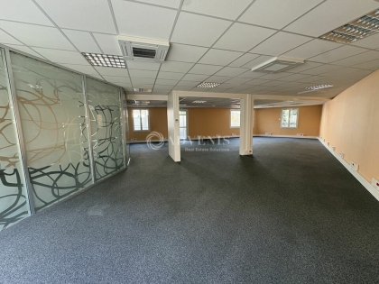Advenis RES - Immobilier d'entreprises