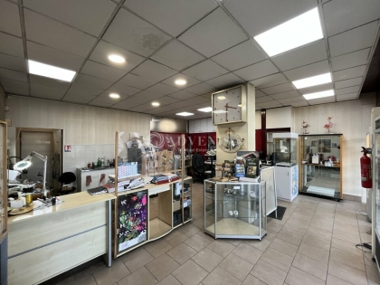 Advenis RES - Immobilier d'entreprises
