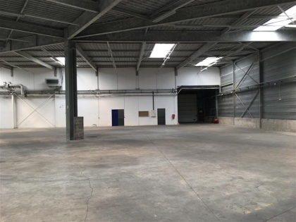 Advenis RES - Immobilier d'entreprises