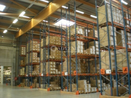 Advenis RES - Immobilier d'entreprises