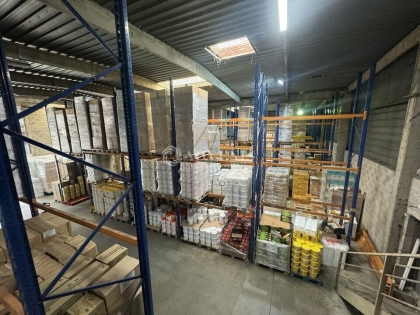Advenis RES - Immobilier d'entreprises
