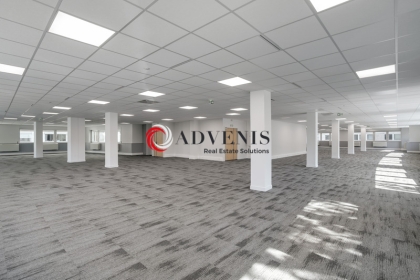 Advenis RES - Immobilier d'entreprises