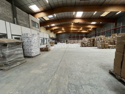 Advenis RES - Immobilier d'entreprises