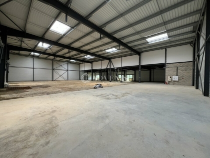 Advenis RES - Immobilier d'entreprises