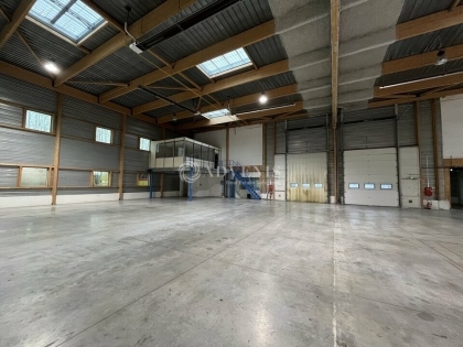 Advenis RES - Immobilier d'entreprises