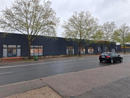 Advenis RES - Immobilier d'entreprises