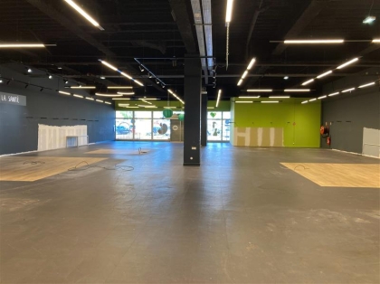 Advenis RES - Immobilier d'entreprises