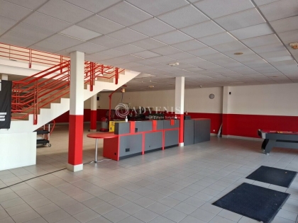 Advenis RES - Immobilier d'entreprises