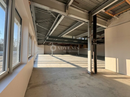 Advenis RES - Immobilier d'entreprises