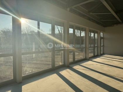 Advenis RES - Immobilier d'entreprises