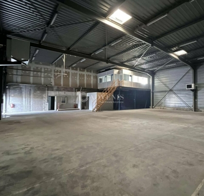 Advenis RES - Immobilier d'entreprises