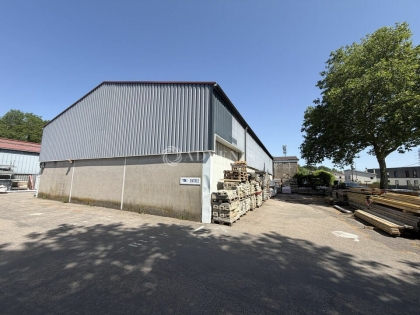 Advenis RES - Immobilier d'entreprises