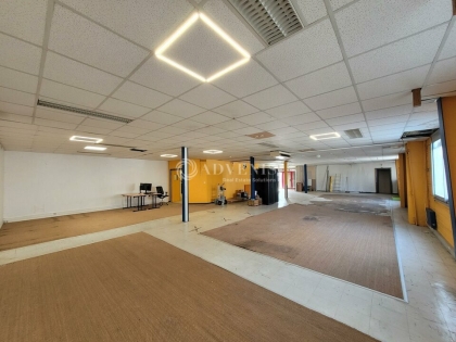 Advenis RES - Immobilier d'entreprises