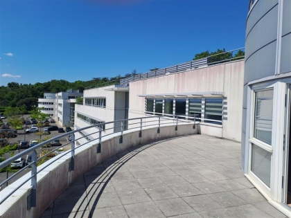 Advenis RES - Immobilier d'entreprises