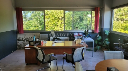 Advenis RES - Immobilier d'entreprises