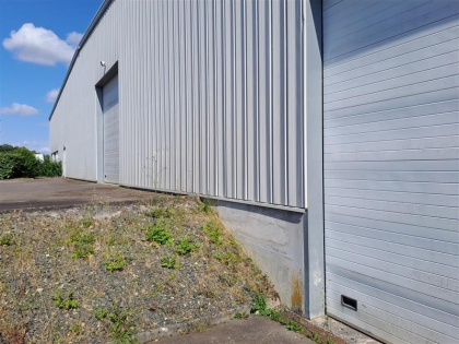 Advenis RES - Immobilier d'entreprises