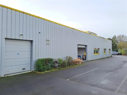 Advenis RES - Immobilier d'entreprises