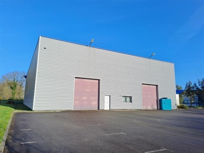 Advenis RES - Immobilier d'entreprises