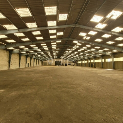 Advenis RES - Immobilier d'entreprises
