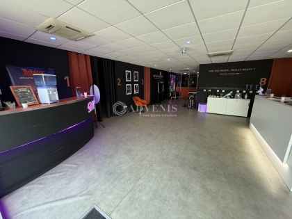 Advenis RES - Immobilier d'entreprises