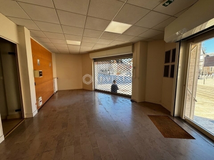 Advenis RES - Immobilier d'entreprises