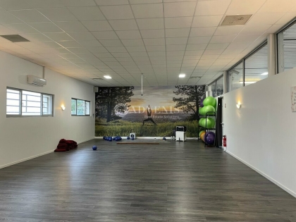 Advenis RES - Immobilier d'entreprises