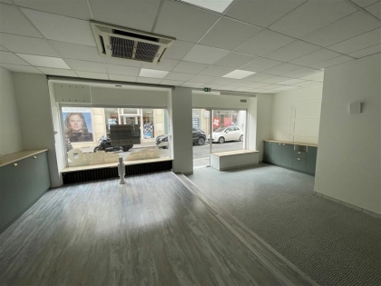 Advenis RES - Immobilier d'entreprises