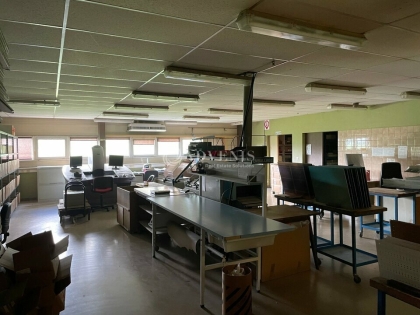 Advenis RES - Immobilier d'entreprises