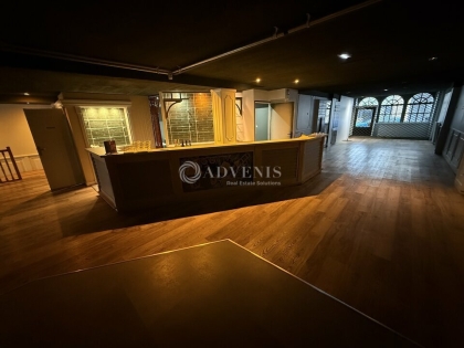 Advenis RES - Immobilier d'entreprises