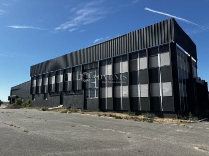 Advenis RES - Immobilier d'entreprises