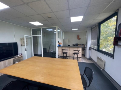 Advenis RES - Immobilier d'entreprises