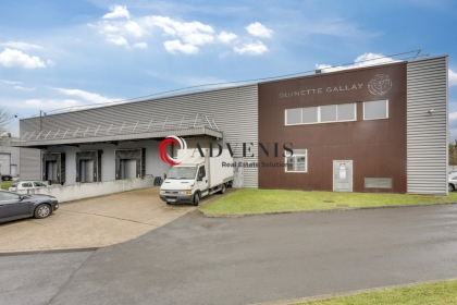 Advenis RES - Immobilier d'entreprises