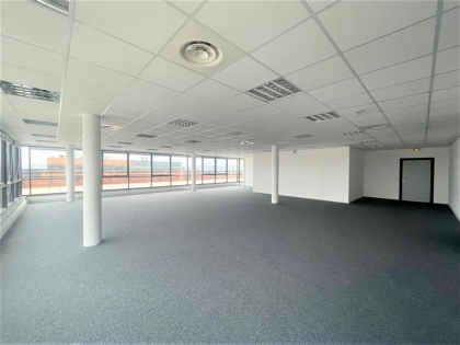 Advenis RES - Immobilier d'entreprises