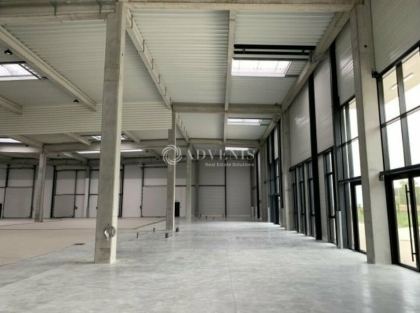 Advenis RES - Immobilier d'entreprises