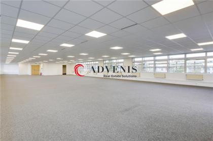 Advenis RES - Immobilier d'entreprises