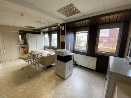Advenis RES - Immobilier d'entreprises