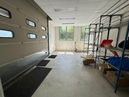 Advenis RES - Immobilier d'entreprises