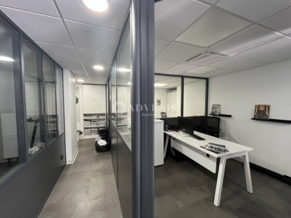 Advenis RES - Immobilier d'entreprises