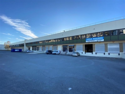 Advenis RES - Immobilier d'entreprises