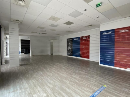 Advenis RES - Immobilier d'entreprises
