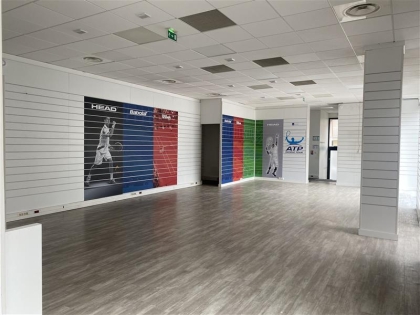 Advenis RES - Immobilier d'entreprises