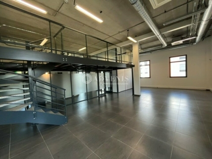 Advenis RES - Immobilier d'entreprises