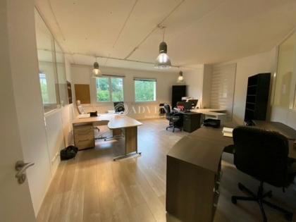 Advenis RES - Immobilier d'entreprises
