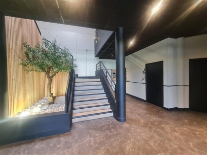 Location Bureaux TOULOUSE - Photo 1