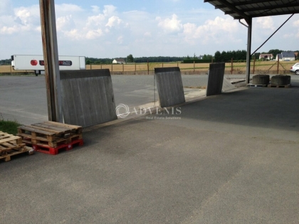 Advenis RES - Immobilier d'entreprises