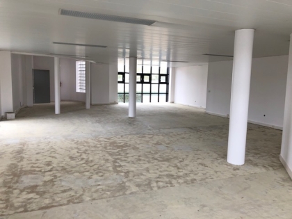 Advenis RES - Immobilier d'entreprises