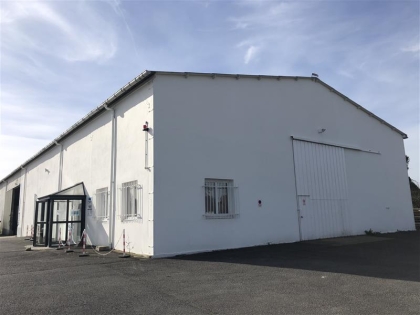 Advenis RES - Immobilier d'entreprises