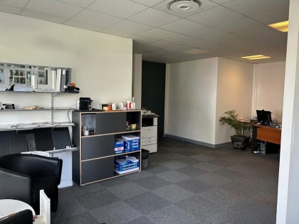Advenis RES - Immobilier d'entreprises
